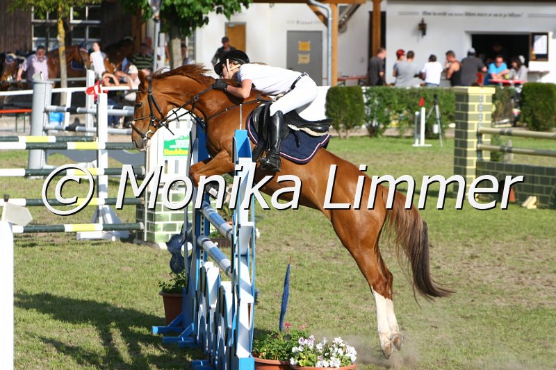 204M4610_Lucky Girl_Spring_Mx.JPG